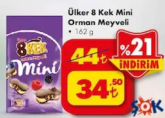 ÜLKER 8KEK MİNİ ORMAN MEYVELİ KEK 162 G